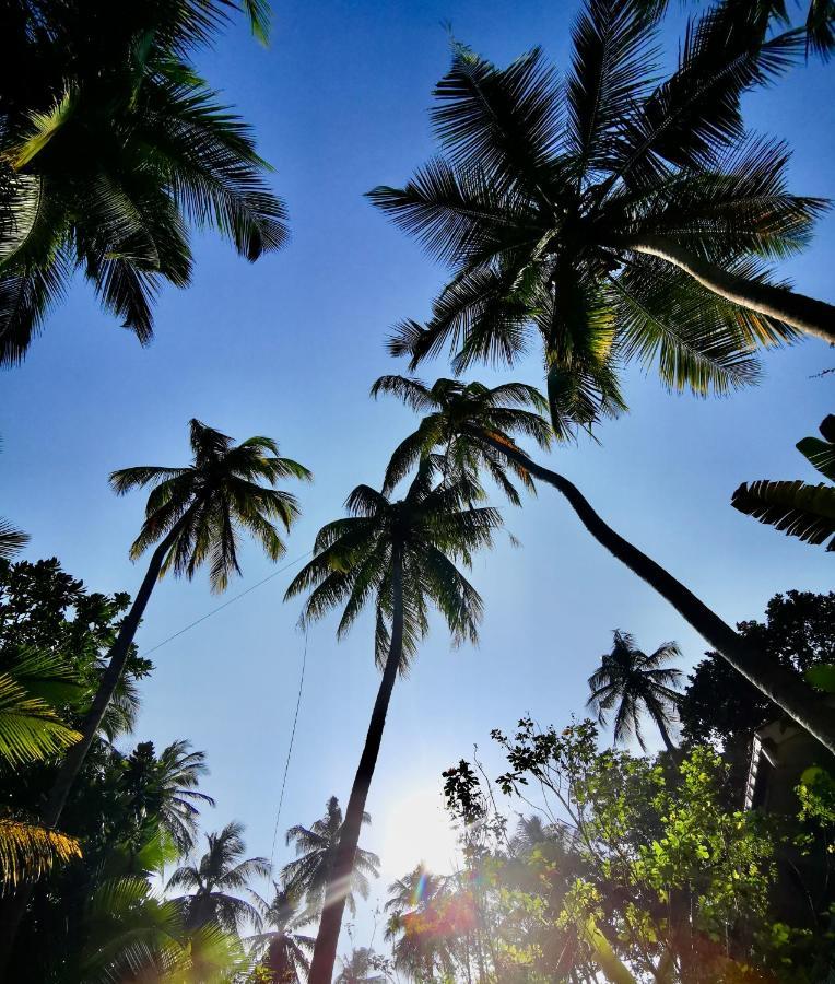 Isana Beach House Tangalle Exteriör bild